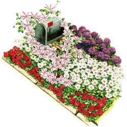 Garden, Colorful Mailbox