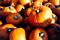 Click here to read more about pumpkin uses