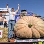 10 Pumpkin Poems