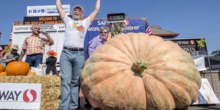 10 Pumpkin Poems