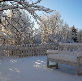 January Gardening To do List