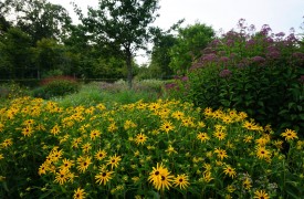 Climate change and sustainability in the garden