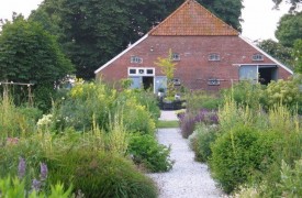 Winter Garden Clean Up