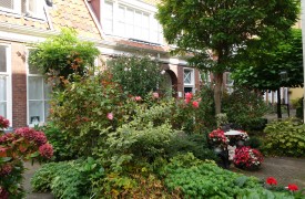 Extreme Perennials - Early Season