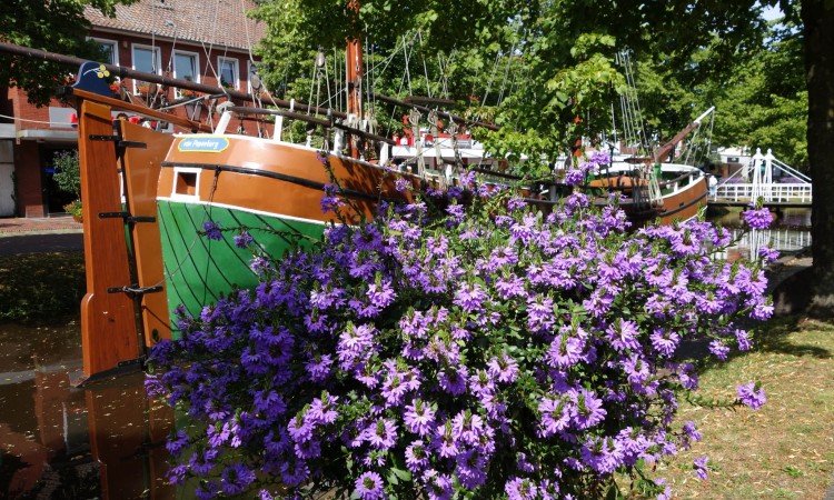 Garden Guide on Hedges