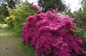 Gardening through the Winter