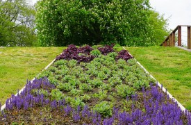 Greenhouse Gardening Tips