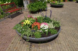 How to clean your water pond