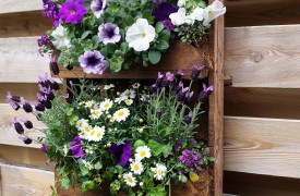 Humidifying Your Greenhouse