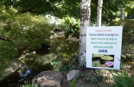 Try Apartment Composting