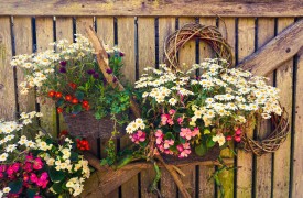 Using Seaweed as a soil compost or manure