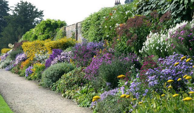 Perennial Gardening