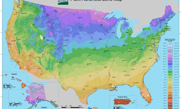 Plant Hardiness Zone Map