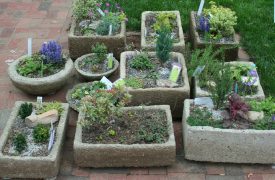 How to plant troughs, Hypertufa, Tufa