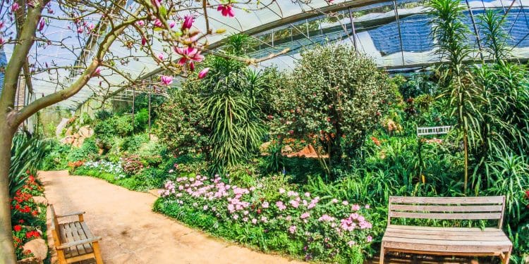 Botanical Gardens In Europe To Visit
