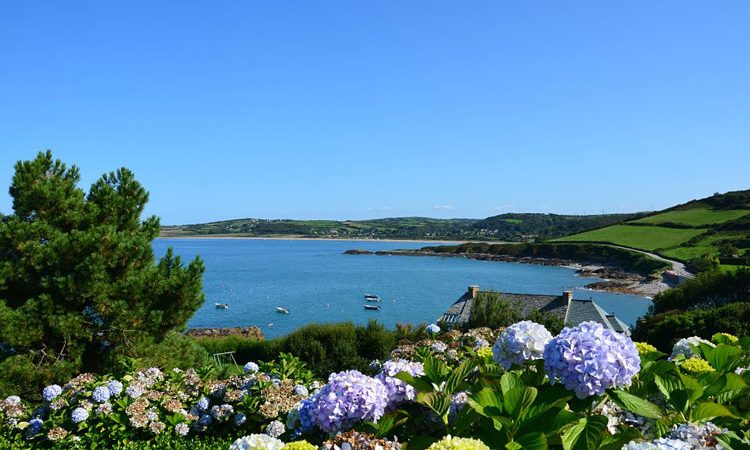 Seaside gardening