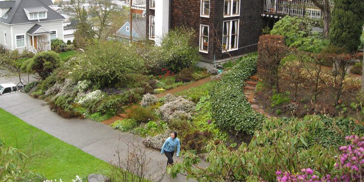 Garden banks as attractive garden feature