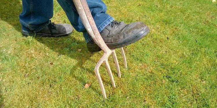 How to remove moss from lawns