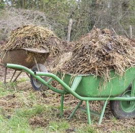 Organic Farm yard Manure for your garden soil