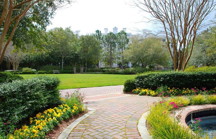 PERENNIALS FOR EDGING