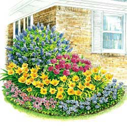 Flower Corner Garden Plan