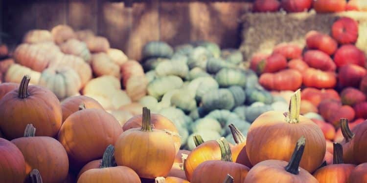 Autumn Harvest Celebration Around the Globe