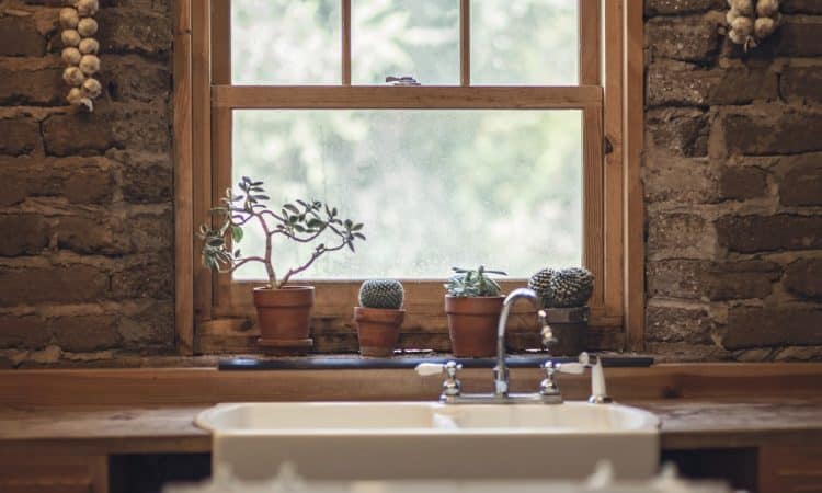 4 things you didn’t know were killing your houseplants