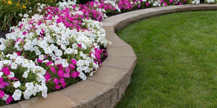 How to Enhance Your Backyard with landscaper blocks