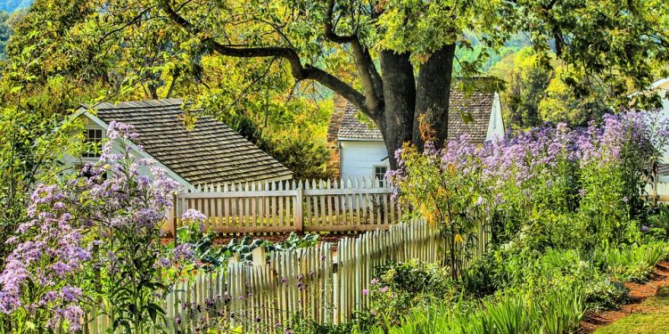 5 steps to create a successful garden