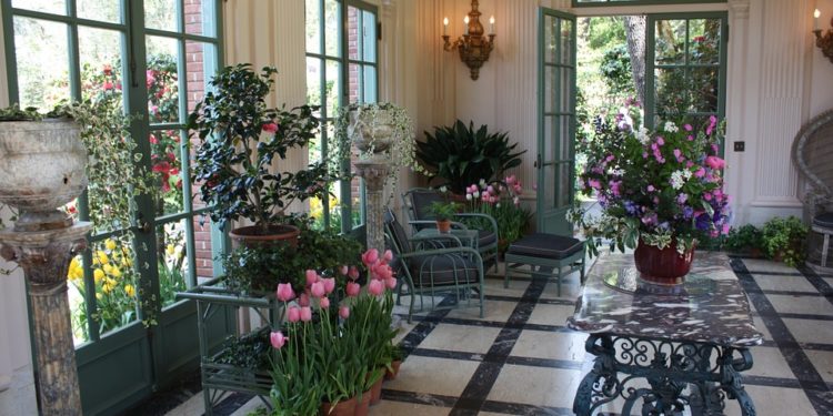 How to Incorporate Indoor Trees in Your Home Design