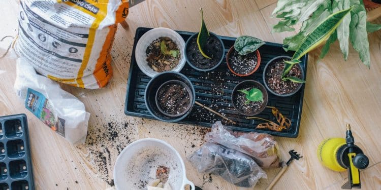 7 Tips To Get Your Garden Ready For Winter