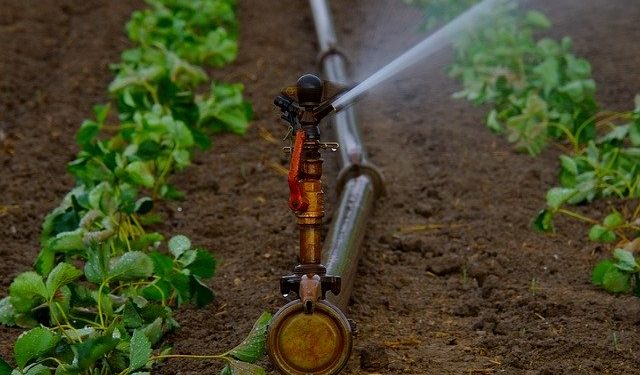 Garden Sprinkler Automation with Linear Actuators