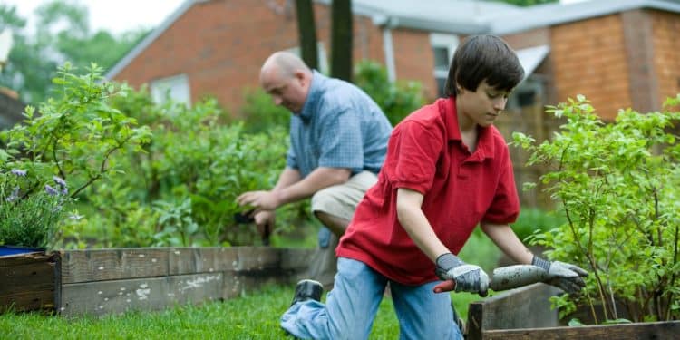 Melbourne Gardening Tips For Beginners
