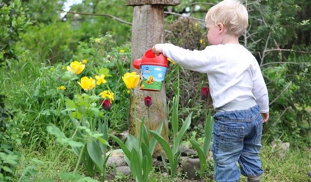 Have You Thought About Gardening With Your Kids?