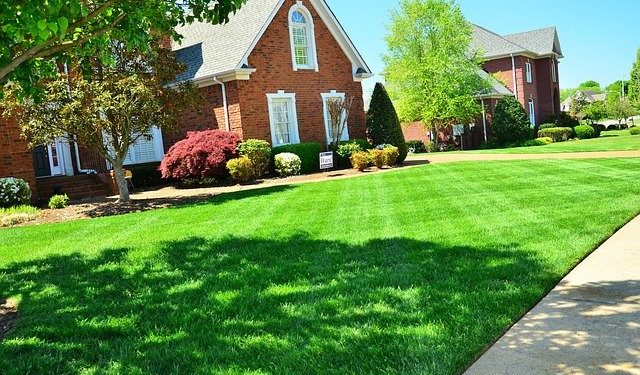 Helping Your Lawn Maintain a Healthy Appearance