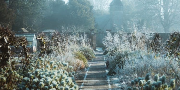 How to Protect Your Garden During the Winter