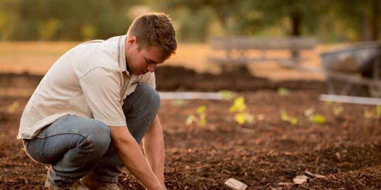 Why should you choose gardening as a hobby?