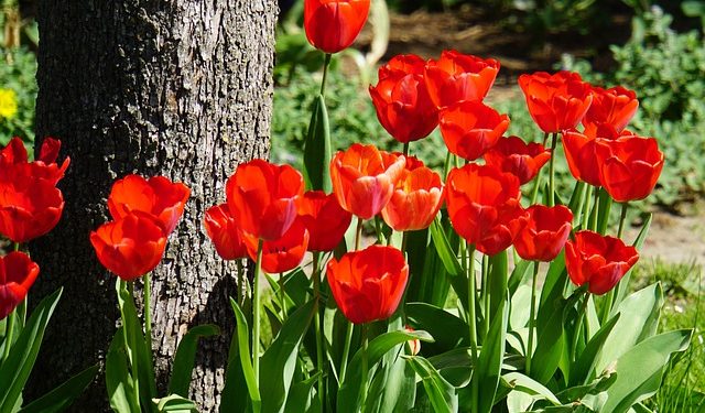 7 Ingenious Garden Ideas to Implement this Summer