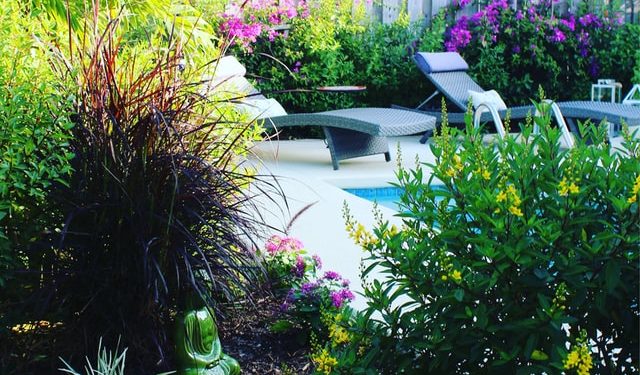 4 Ways You Can Improve Your Backyard Garden