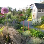 A Perennial Garden That Takes Care of Itself