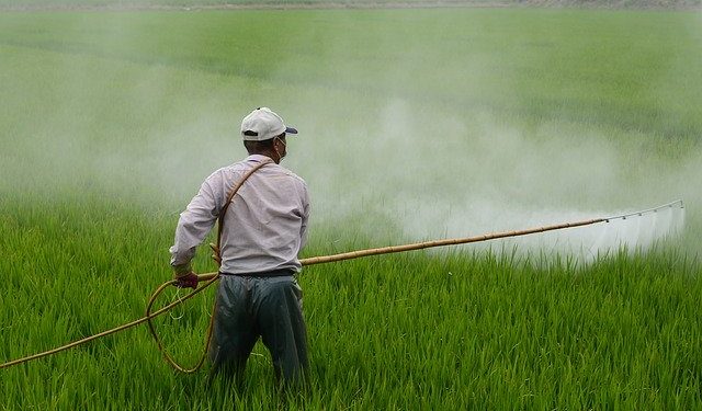Are Pesticides Bad for Your Garden?