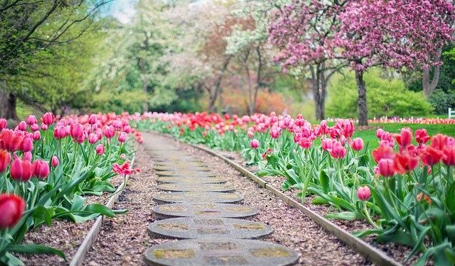 Garden path