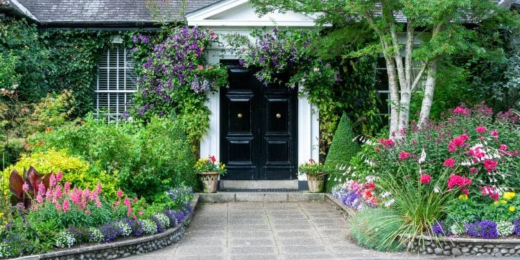Best Gardening Tips for Beginners