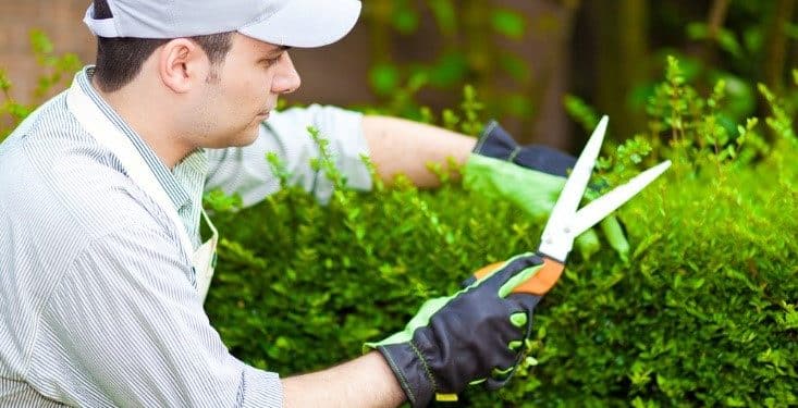 Top Jobs to do in Your Yard Before Summer Hits