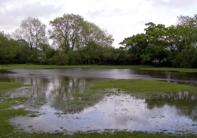 flooded lawn