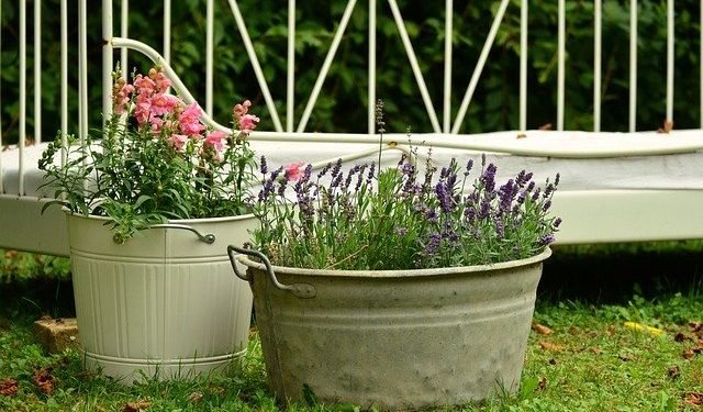 What To Know When Selecting A Plant Container