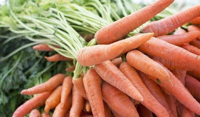 10 Tips for Starting a Community Garden