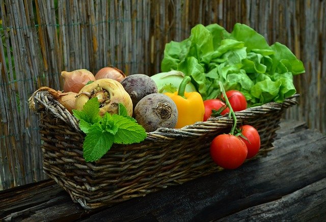 Organic Produce You Can Grow in your Garden this Summer