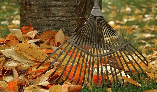 Landscape Fall Clean-Up Requirements