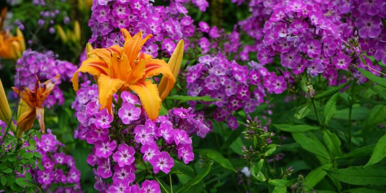 Gardening is Good for Your Health and Here’s Why